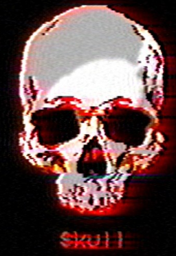 Skull1172
